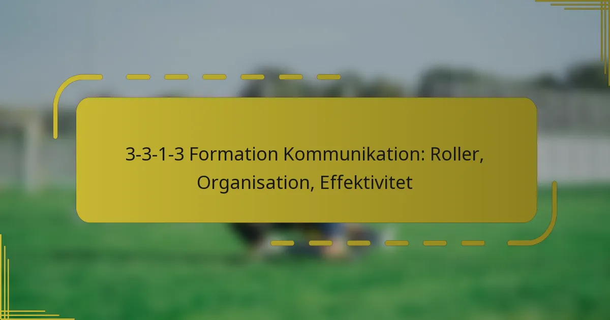 3-3-1-3 Formation Kommunikation: Roller, Organisation, Effektivitet