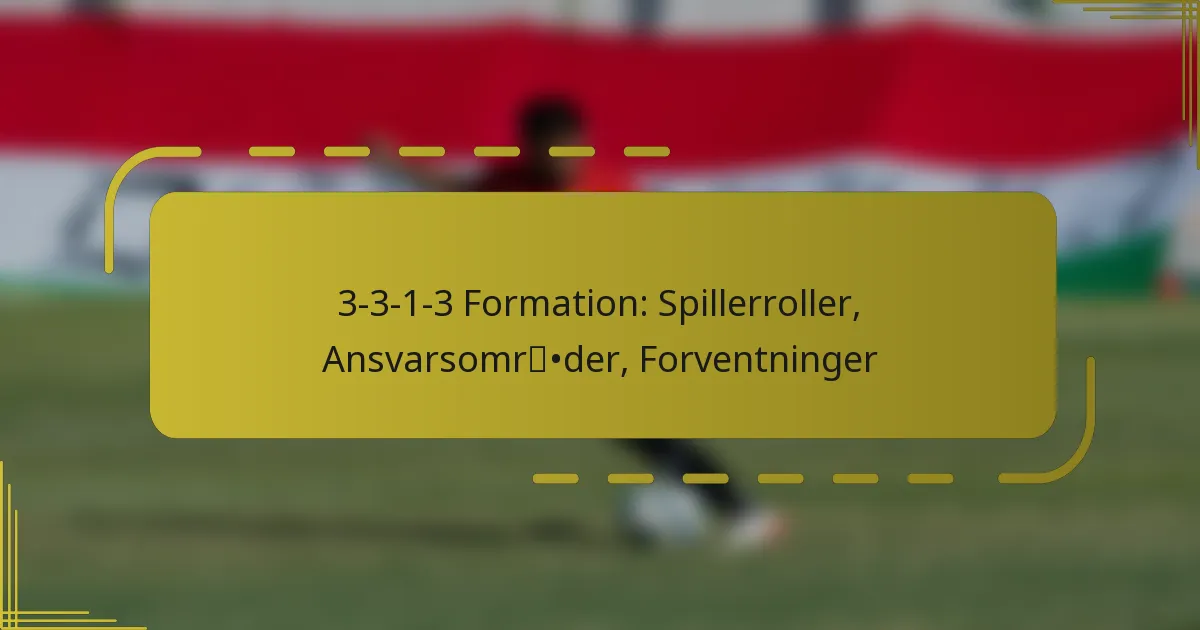 3-3-1-3 Formation: Spillerroller, Ansvarsområder, Forventninger