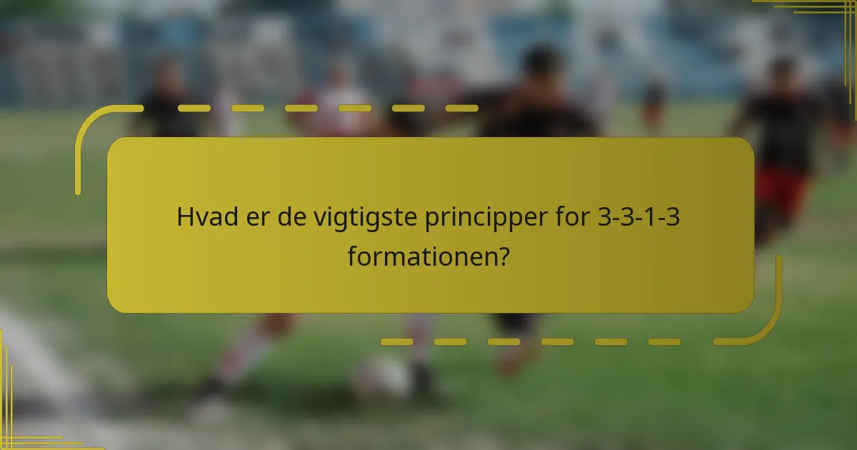 Hvad er de vigtigste principper for 3-3-1-3 formationen?