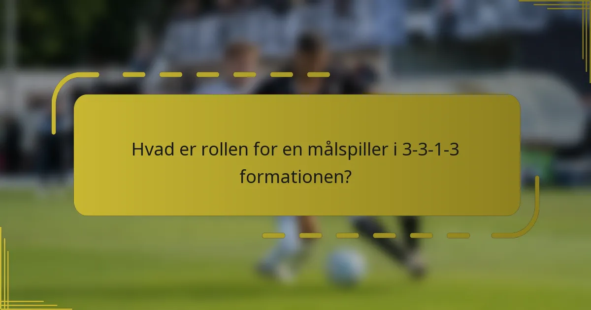 Hvad er rollen for en målspiller i 3-3-1-3 formationen?