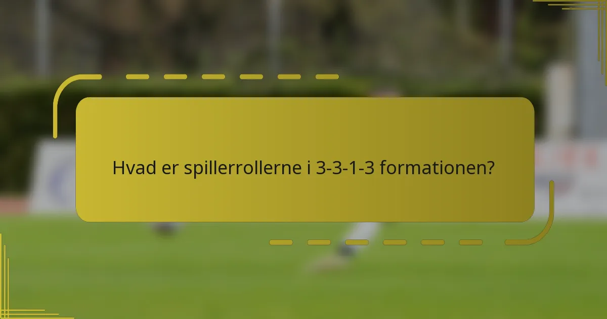 Hvad er spillerrollerne i 3-3-1-3 formationen?