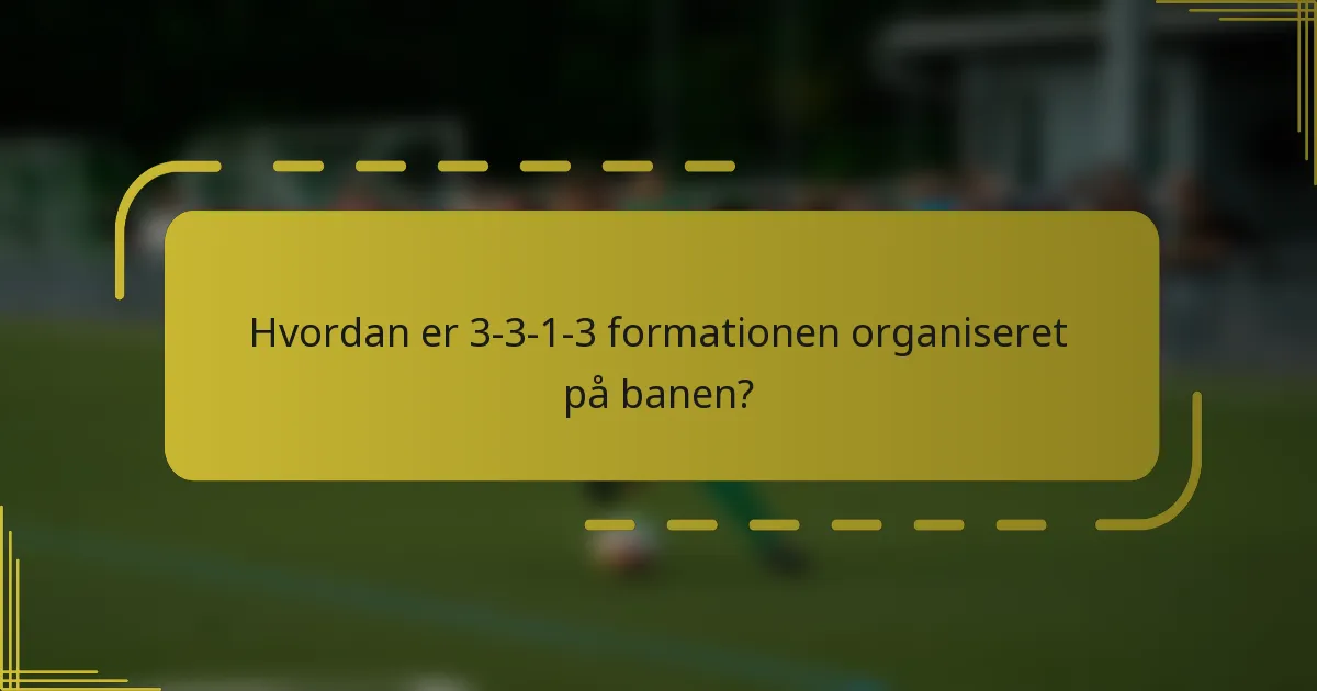 Hvordan er 3-3-1-3 formationen organiseret på banen?